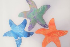 Starfish-20cm